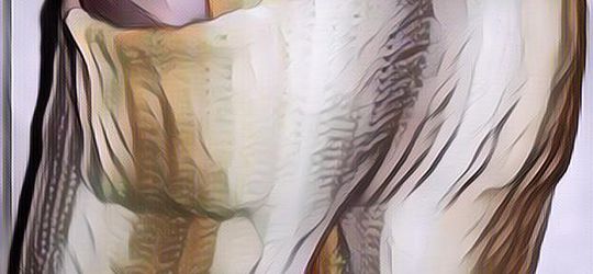 Rekomendasi Celana OOTD yang Absurd Nan Kocak Untuk Kamu Penggiat Fashion