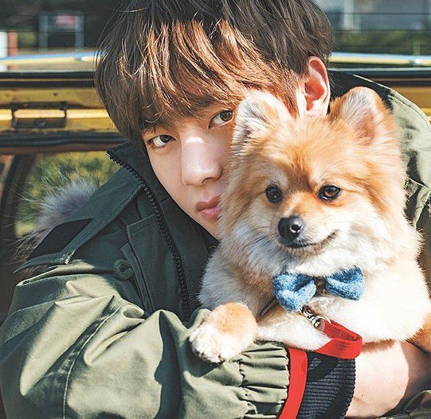 5. V BTS punya anjing lucu bernama Yeontan