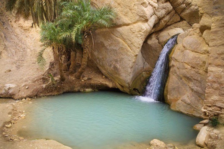 2. Oasis Chebika di Tunisia