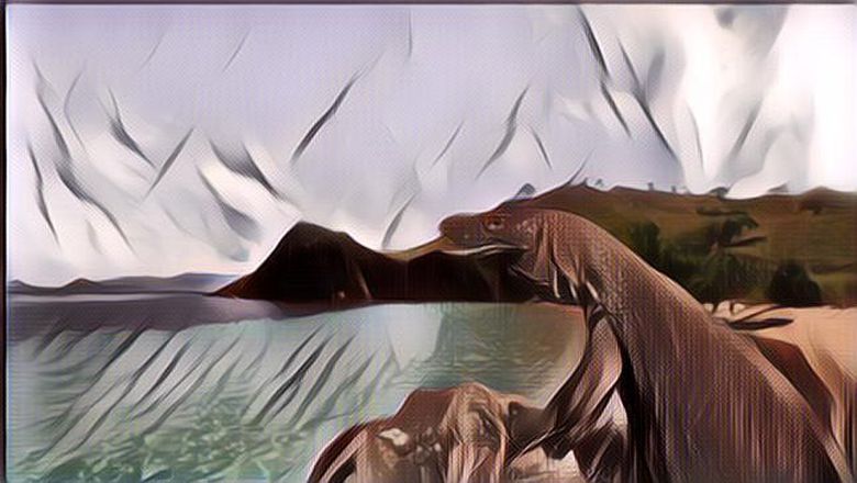 4 Rekomendasi Tempat Wisata Dekat Pulau Komodo yang Juga Wajib Dikunjungi