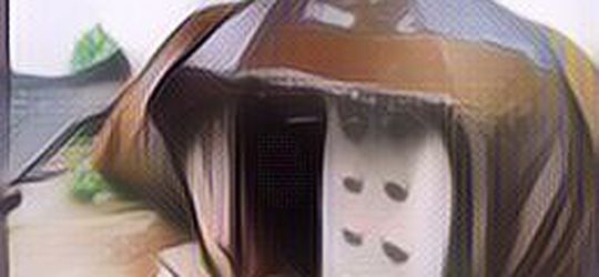 Fakta Rumah Batu "Patrick Spongebob" di Wonogiri yang Unik