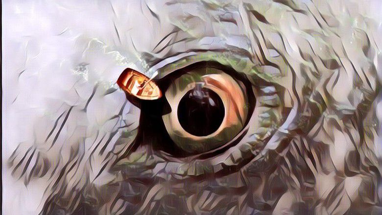 Jarang Orang Tahu, Makhluk Ini Lindungi Manusia Dari Virus Berbahaya Di Lautan