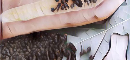 Jarang Diketahui, Ini 5 Manfaat Biji Pepaya