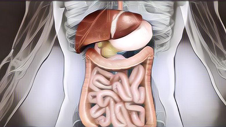 WAJIB TAHU! Olahraga Ternyata Bisa Bikin Pencernaanmu Lancar Loh!