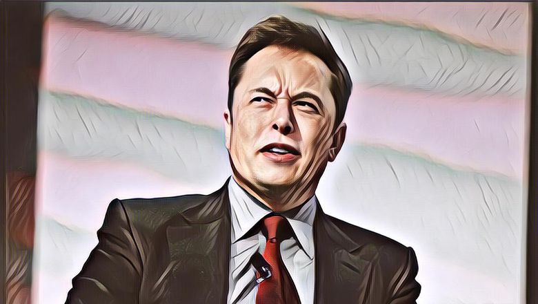 Elon Musk Gabung Sejumlah YouTuber Sumbangkan Satu Juta Pohon