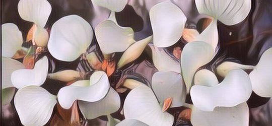 Selain Jadi Hama, Ternyata Enceng Gondok Punya 7 Khasiat Ajaib