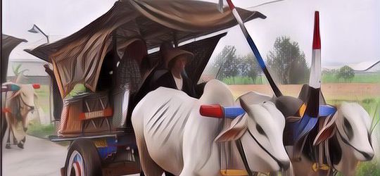 Belajar Sejarah Yuk, Mengulas Alat Transportasi Zaman Dulu di Indonesia yang Sudah Hilang Ditelan Bumi