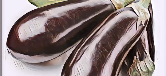 10 Manfaat Terong Bagi Kesehatan, Bisa Cegah Kanker dan Baik untuk Ibu Hamil