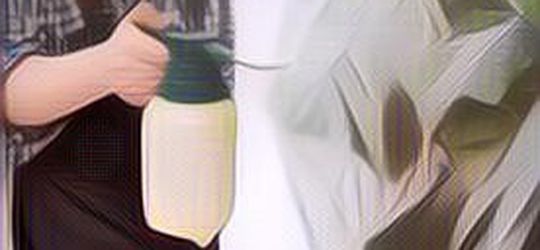 Lebih Aman dan Murah, Ini Dia Resep Pestisida Alami yang Bisa Dibuat di Rumah