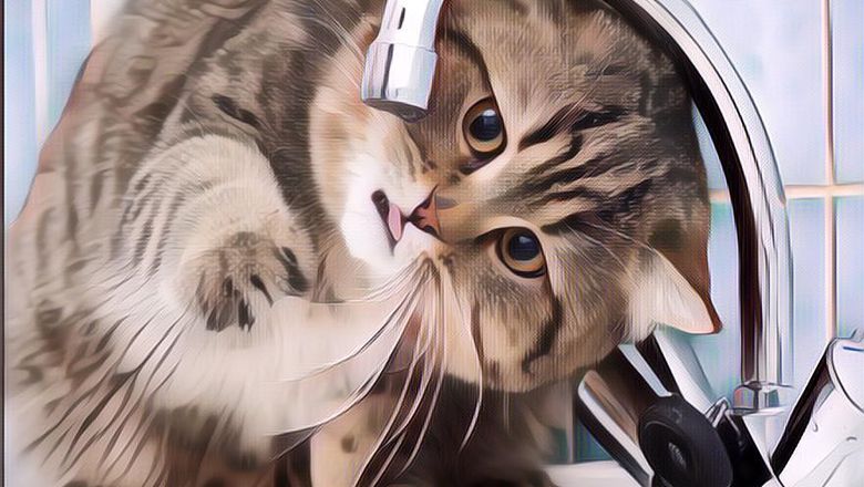 Ini Toh Alasan Ilmiah Kenapa Kucing Suka Santuy Di Wastafel