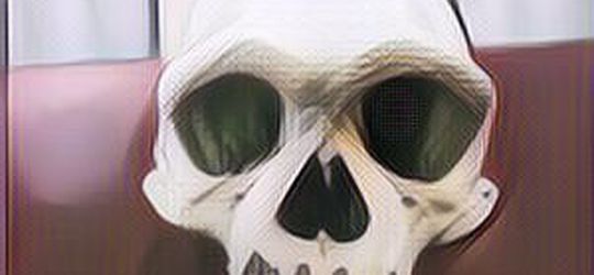 Penemuan Tengkorak "Manusia Naga" Ditemukan di Tiongkok, Kemungkinan Cabang Baru dalam Perjalanan Evolusi Manusia