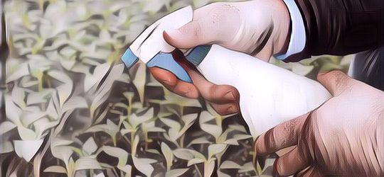 Lebih Aman dan Sehat! Berikut Resep Pestisida Alami Rumahan untuk Kamu yang Hobi Bercocok Tanam