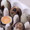 Kandungan Nutrisi, Manfaat, dan Hal yang Perlu Kamu Perhatikan Sebelum Mengkonsumsi Telur Puyuh