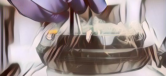 Luna Maya Putuskan Lakukan Pembekuan Sel Telur Sel Telur, Apa Alasannya?