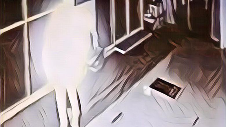 Heboh! Tubuh Seorang Pria di Malaysia yang Sedang Salat Dikelilingi Oleh Cahaya Terang