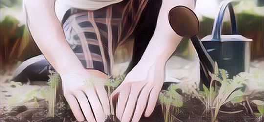 Ternyata Berkebun Bagus untuk Kesehatan, Berikut Ini 7 Manfaatnya!