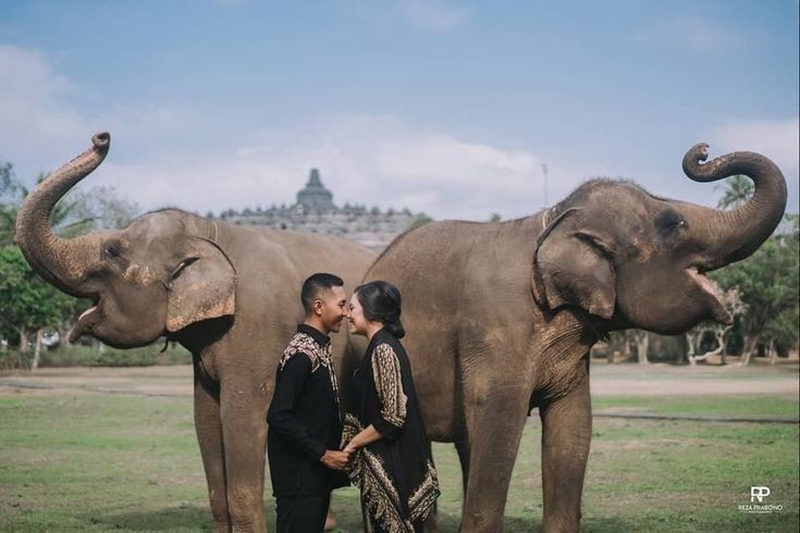 2. Berfoto Bersama Gajah