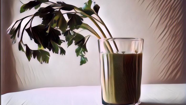 Khasiat Daun Seledri untuk Diet, Mau Kurus Nggak Hanya Mitos