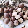 Buah Unik Ini Cuma Ada di Indonesia Kalian Sudah Pernah Coba?