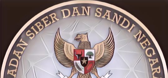 Benarkah Aktivitas di HP dan Medsos Dipantau oleh BSSN? Inilah Faktanya