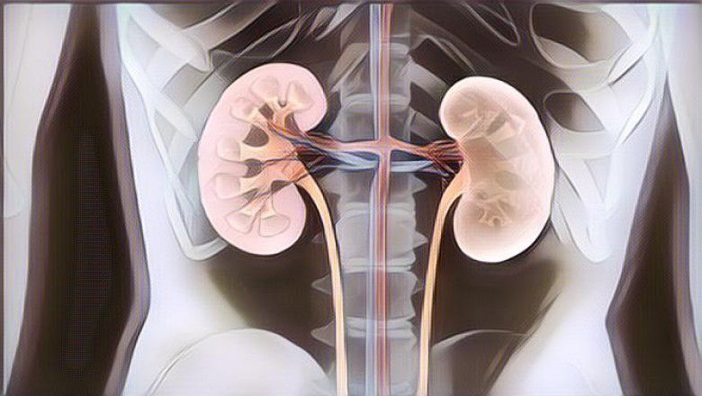 Simak Nih Daftar Makanan dan Minuman Perusak Ginjal