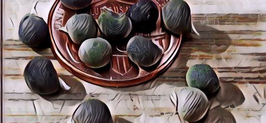 Kopi Biji Tanaman Okra, Gimana Rasanya Ya?