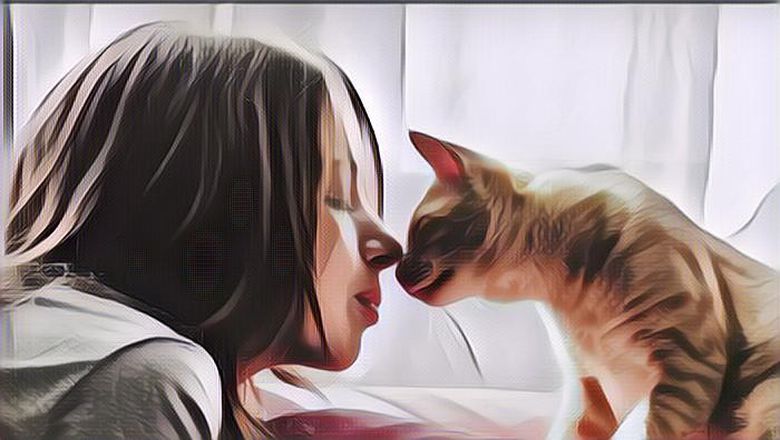 Kura-Kura, Kuda, dan Hewan-Hewan yang Dianggap Bawa Keberuntungan