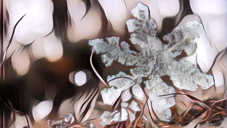 Fakta Unik Dunia yang Jarang Orang Tau