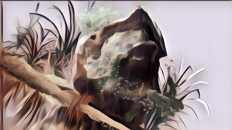 5 Prediksi Tren Warna Tahun 2023 yang Bikin Kamu Makin Kece, Wajib Tahu!