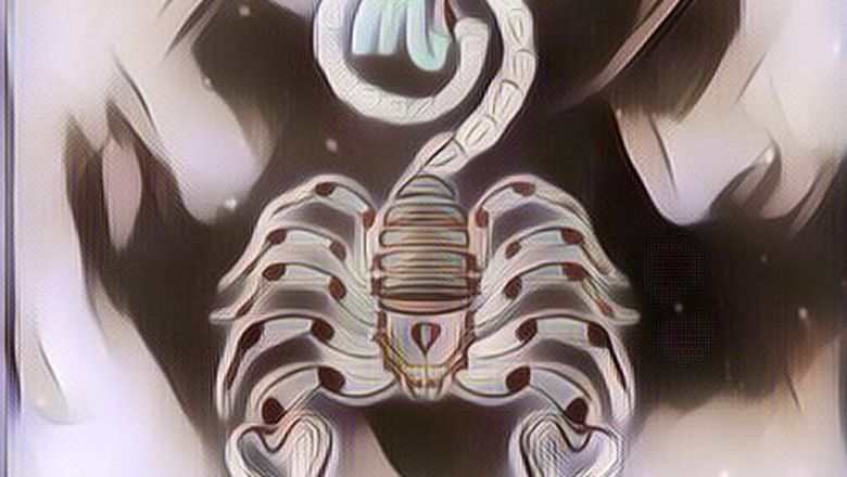 Semua Tentang Zodiak Scorpio Wanita: Karakter, Hubungan Asmara dan Karir