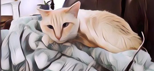 Life Hack untuk Mahasiswa Sobat Mager