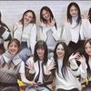 TWICE dan Megan Thee Stallion Akan Berkolaborasi untuk Sebuah Lagu Berjudul "Mamushi"
