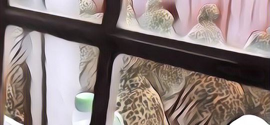 Kocak, Gerombolan Jamaah Ini Sholat Tarawih di Mesjid Pakai Mukena Macan Tutul