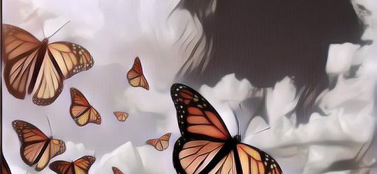 Daur Hidup Kupu-Kupu dari Telur Hingga Dewasa