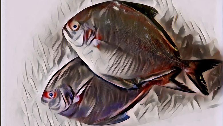 Nggak Nyangka Banget! Ternyata Ini 9 Manfaat Ikan Bawal untuk Kesehatan