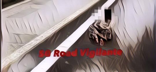 Viral Seorang Pria di Singapura Duduk di Tengah Jalan Tol Sembari Main Ponsel