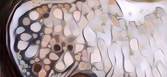 Spotted Lake: Danau Motif Polkadot Asal Kanada