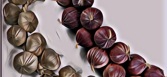 Mudah Lawan Kanker Bermodal Bawang Merah Bawang Putih