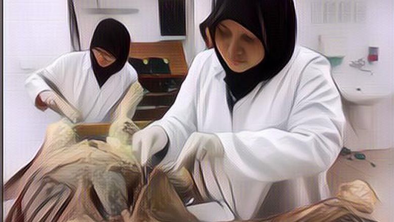 Jenazah Ini Bangun Saat Dibedah Mahasiswa Kedokteran di Kamar Mayat, Ceritanya Bikin Merinding