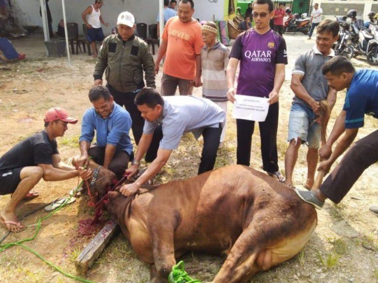 4. Marbinda - Sumatra Utara 