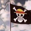 Tanggapi Pengibaran Bendera One Piece, Wakil MPR Sebut Merah Putih Harus di Atas Segalanya