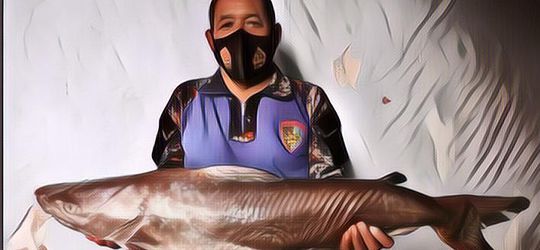 Mangut Ikan Manyung Khas Pantura Sebenarnya Menggunakan Ikan Apa?