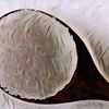 Mengapa Ragi Tidak Baik untuk Kesehatan?