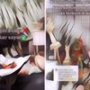 Viral Ada Dekor Pernikahan yang Gak Pakai Bunga, Tapi Sayur