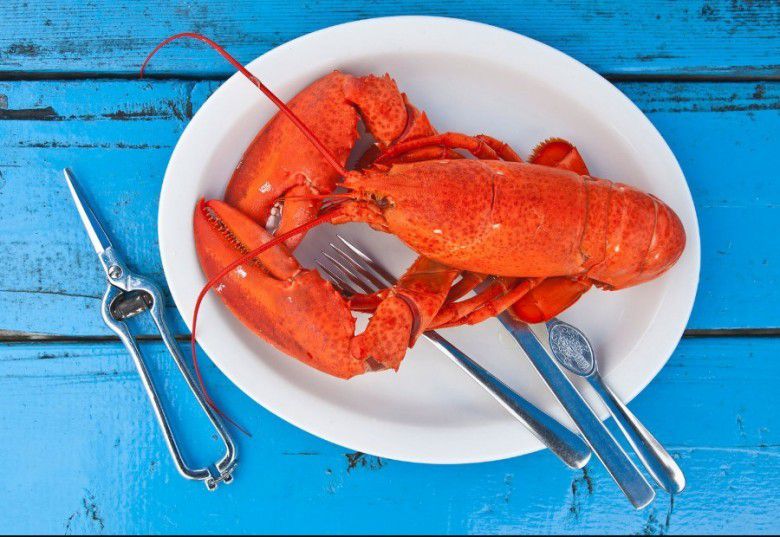 #Lobster