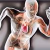 7 Cara Meningkatkan Metabolisme Tubuh, Agar Kalori di Tubuh Bisa Dibakar Saat Istirahat