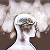 Mengenal 4 Kecerdasan Utama Manusia: IQ, EQ, SQ, dan AQ, Apa Bedanya?