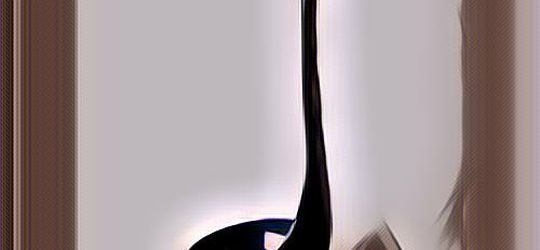 Fakta Samson Si Sendok Dengan Follower Nyaris 100K~