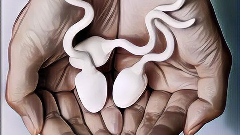 Apa Aja Sih Jenis Makanan yang Bisa Menambah Sperma?