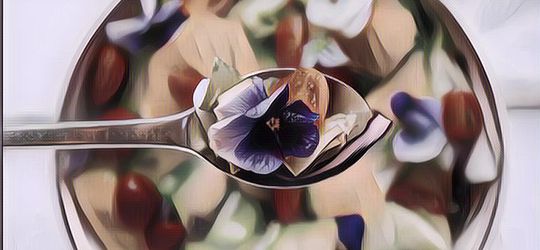 Bisa Dimakan, 7 Bunga yang Gak Cuma Bisa Buat Hiasan Makanan Tapi Juga Bisa Dimakan